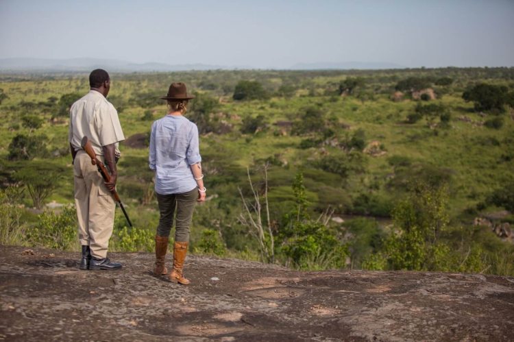 Serengeti Migration Camp - activities - guided bush walk Szenisch Africa Safaris & Expeditions