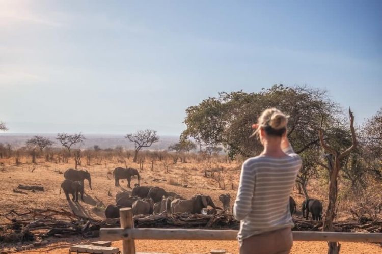 Szenisch Africa Safaris & Expeditions Elewana Tarangire Treetops - Guest Looking At Ellys Deck_4x5