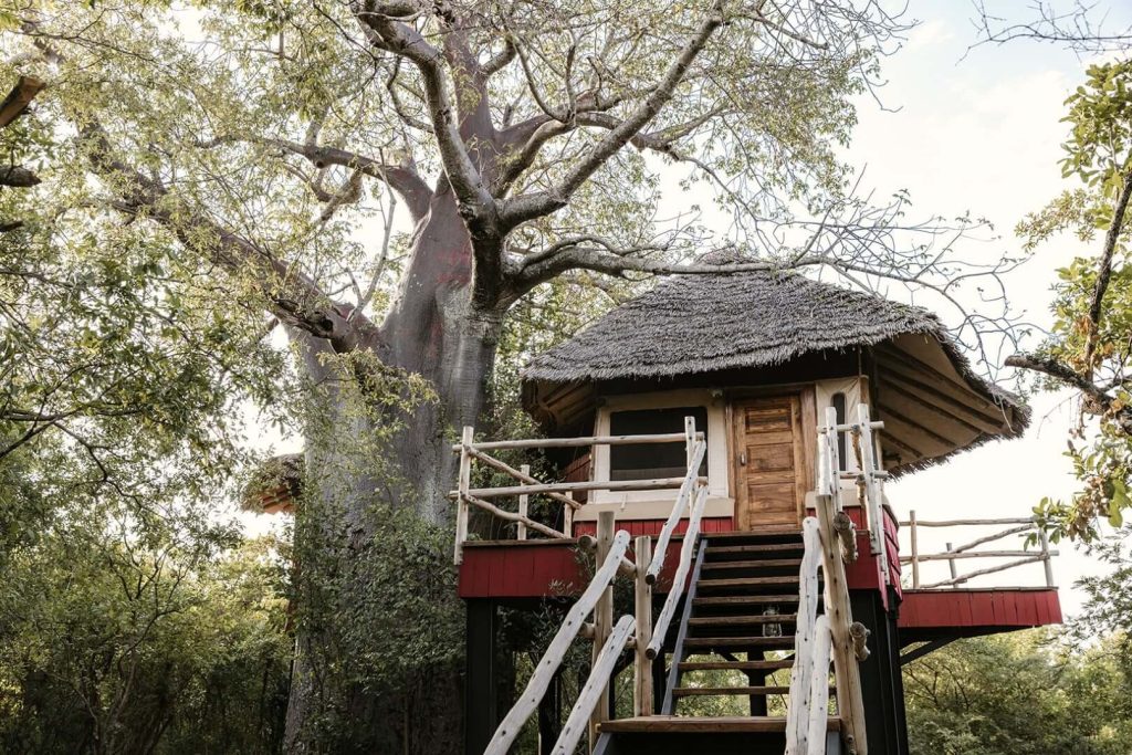 Szenisch Africa Safaris & Expeditions Elewana Tarangire Treetops - room entry