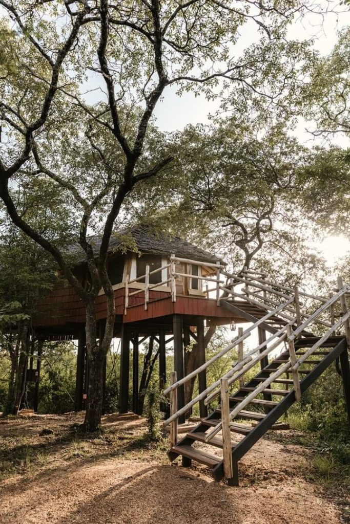 Szenisch Africa Safaris & Expeditions Elewana Tarangire Treetops - stairs to the room